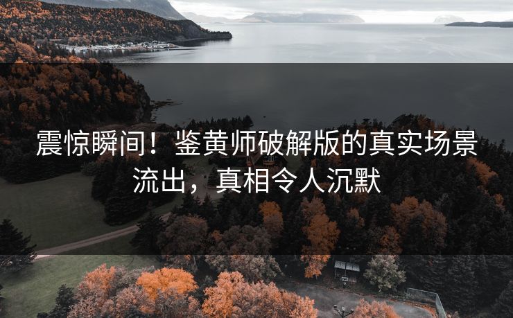 震惊瞬间！鉴黄师破解版的真实场景流出，真相令人沉默
