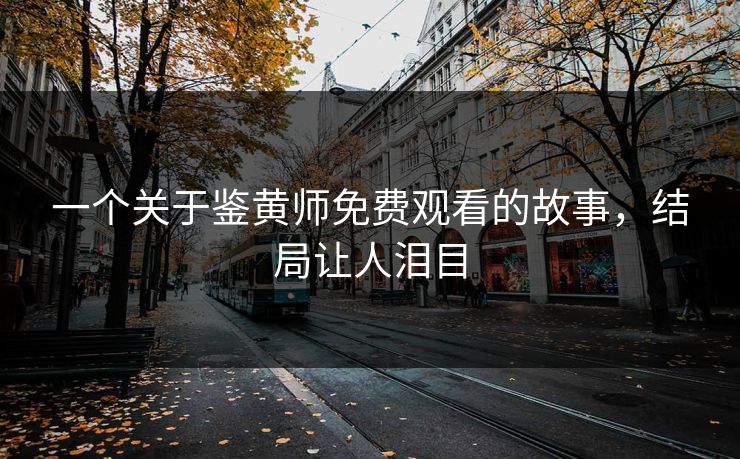 一个关于鉴黄师免费观看的故事，结局让人泪目