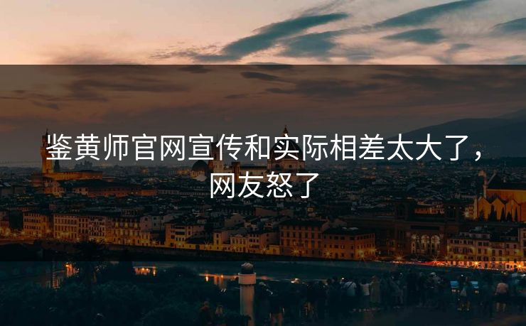 鉴黄师官网宣传和实际相差太大了，网友怒了