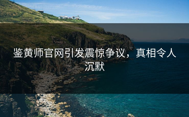 鉴黄师官网引发震惊争议，真相令人沉默