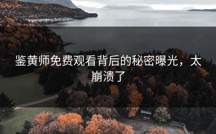 鉴黄师免费观看背后的秘密曝光，太崩溃了