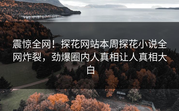 震惊全网！探花网站本周探花小说全网炸裂，劲爆圈内人真相让人真相大白