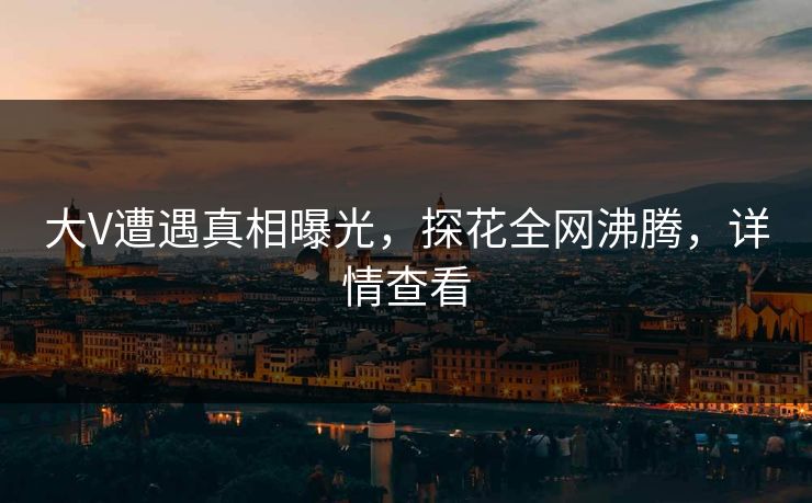 大V遭遇真相曝光，探花全网沸腾，详情查看
