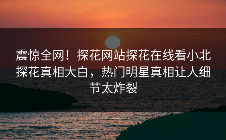 震惊全网！探花网站探花在线看小北探花真相大白，热门明星真相让人细节太炸裂