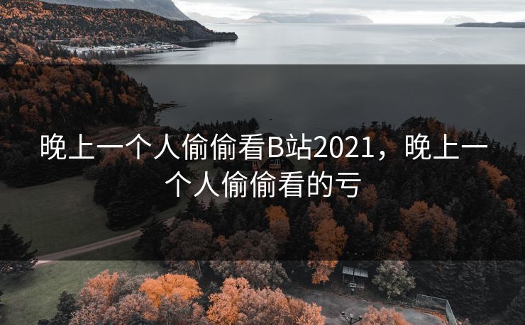 晚上一个人偷偷看B站2021，晚上一个人偷偷看的亏