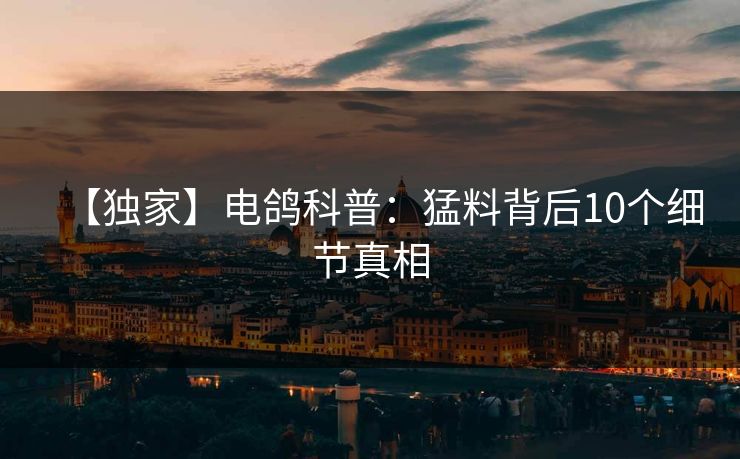 【独家】电鸽科普：猛料背后10个细节真相