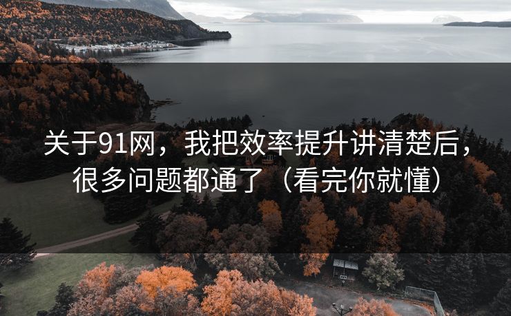 关于91网，我把效率提升讲清楚后，很多问题都通了（看完你就懂）